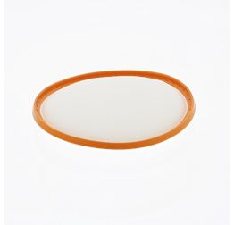 Vax Pre-motor filter (Type 49)