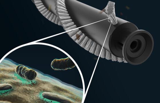 Antimicrobial Brushbar