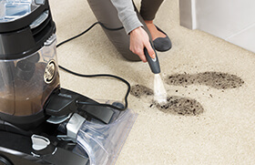 Vax Platinum Power Max Pre-Treatment Wand