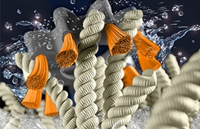 Vax Platinum Power Max SpinScrub Technology