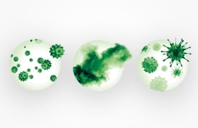 Filter up to 99% of allergens